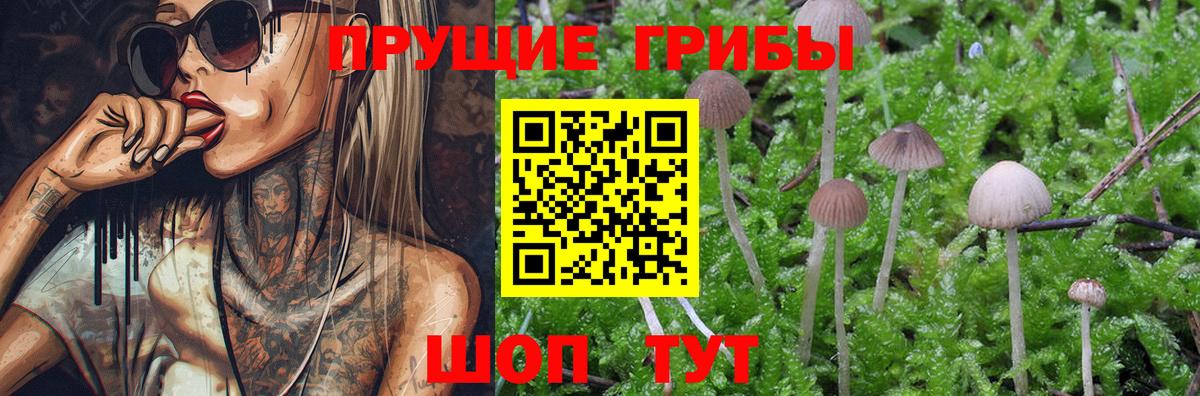 Псилоцибиновые грибы Magic Shrooms Борисоглебск